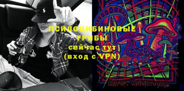 шишки Каменка