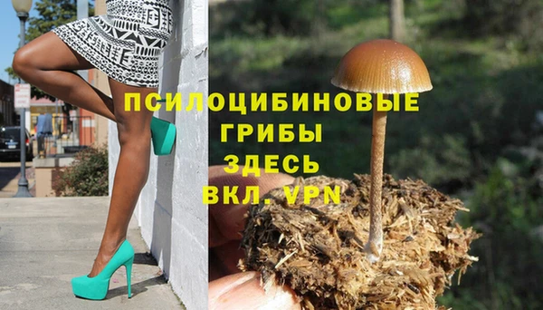 ГАЛЛЮЦИНОГЕННЫЕ ГРИБЫ Сатка
