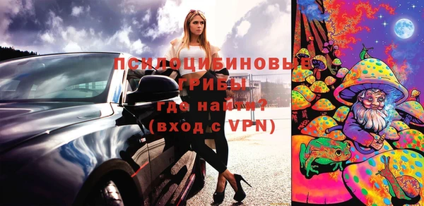 ГАЛЛЮЦИНОГЕННЫЕ ГРИБЫ Сатка