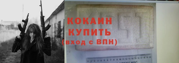 шишки Каменка