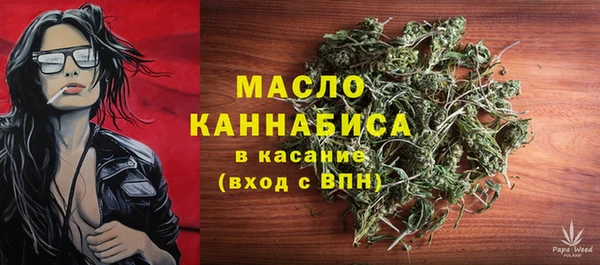шишки Каменка