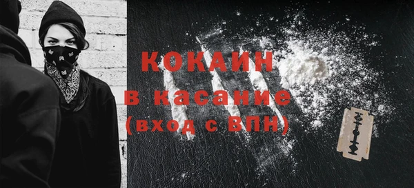 шишки Каменка