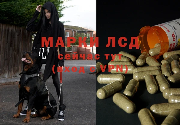 марихуана Каменногорск