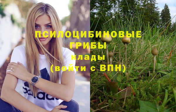 марихуана Каменногорск