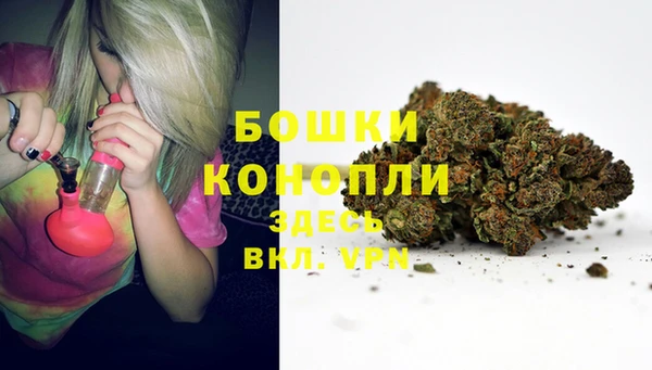 ГАЛЛЮЦИНОГЕННЫЕ ГРИБЫ Сатка