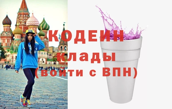 шишки Каменка